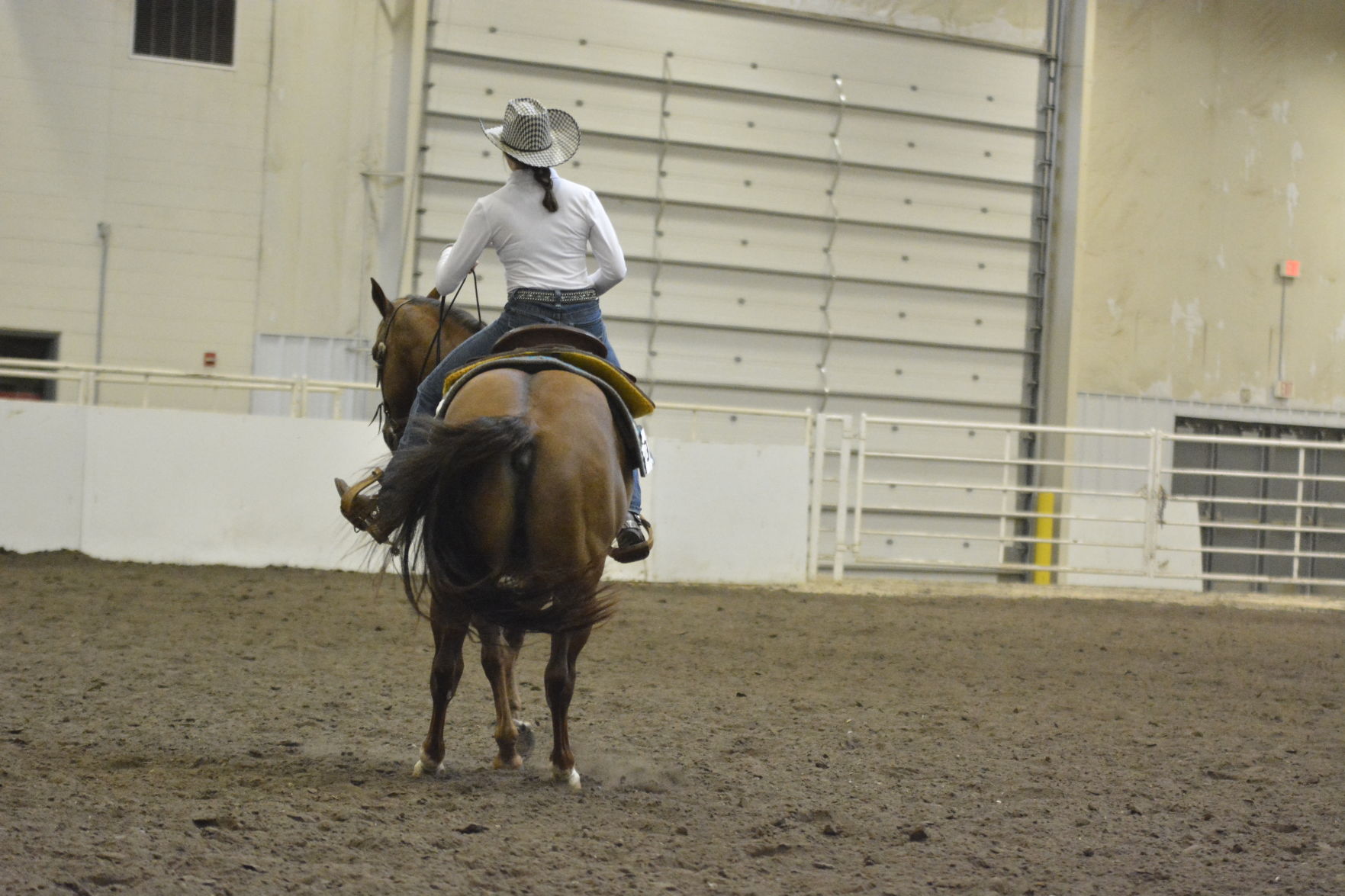 7-28-19 Ropin & Lopin (90).JPG